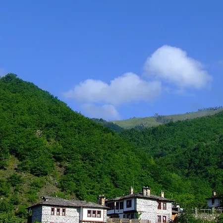 Complex Guest house 3*