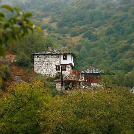 Guest house Complex